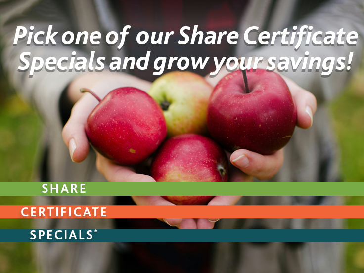 Fall Share Certificate Specials